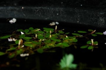 DSC 0138