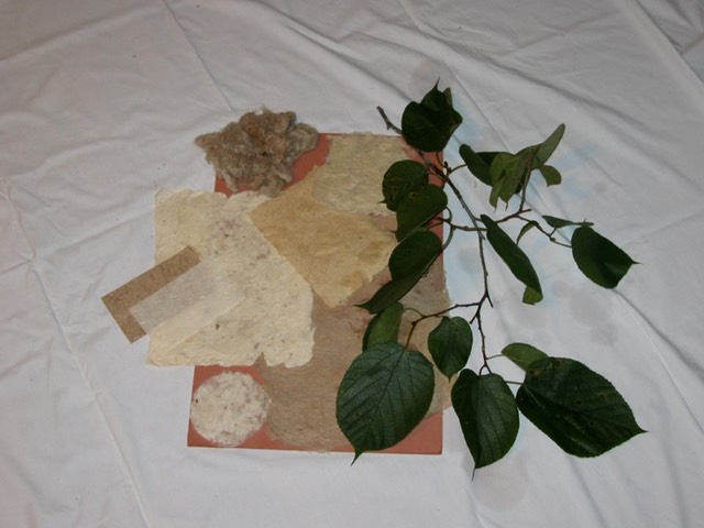 IMG 3372